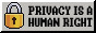 Privacy is a human right User Badge